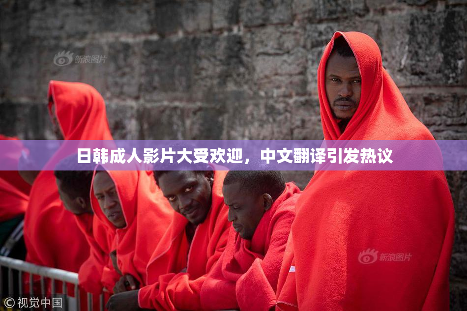 日韩成人影片大受欢迎，中文翻译引发热议
