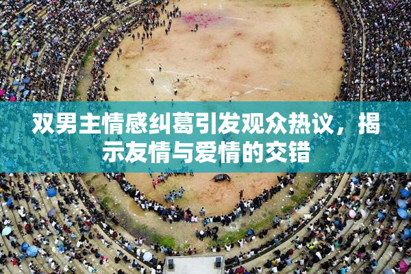 双男主情感纠葛引发观众热议，揭示友情与爱情的交错