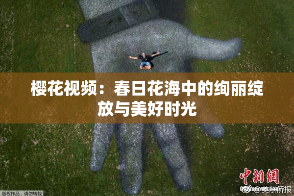 樱花视频：春日花海中的绚丽绽放与美好时光