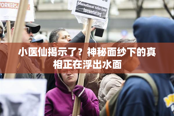 小医仙揭示了？神秘面纱下的真相正在浮出水面