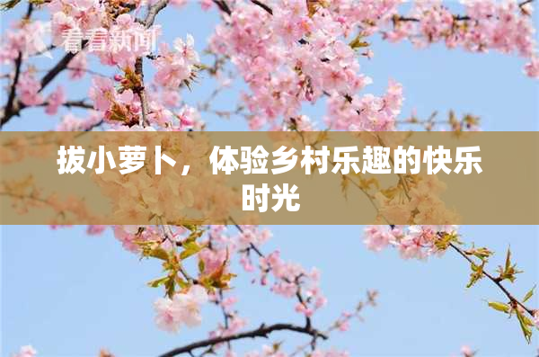拔小萝卜，体验乡村乐趣的快乐时光