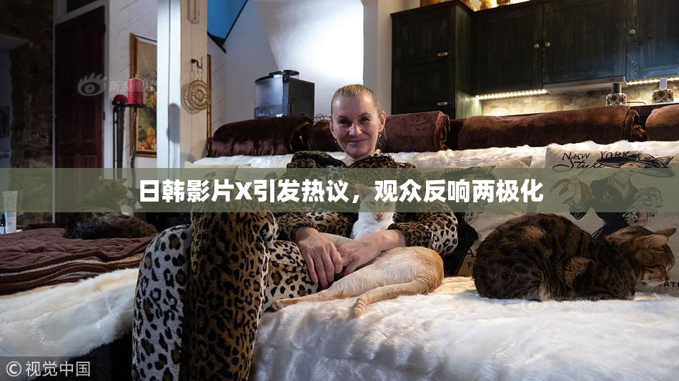 日韩影片X引发热议，观众反响两极化