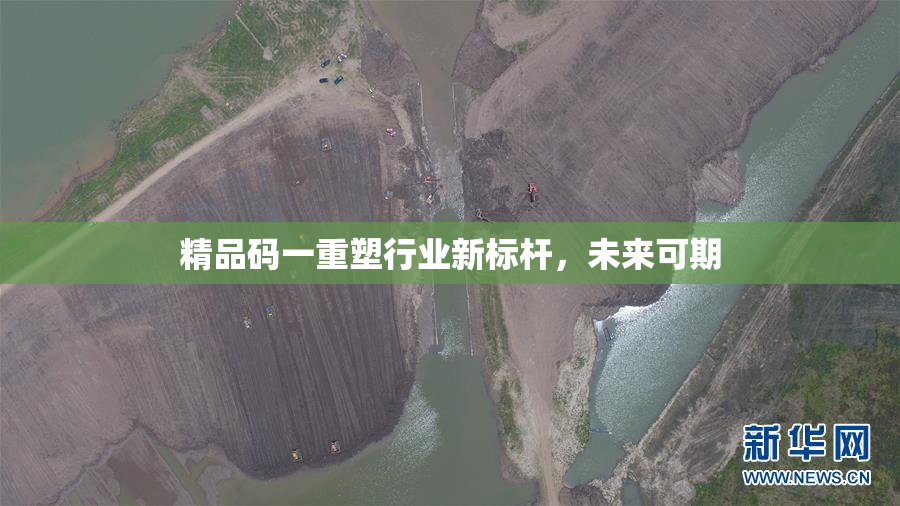 精品码一重塑行业新标杆，未来可期