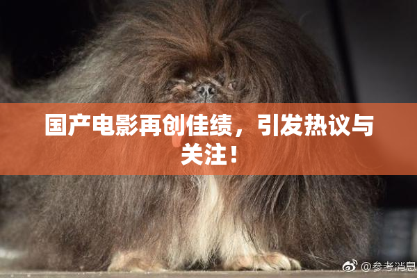 国产电影再创佳绩，引发热议与关注！