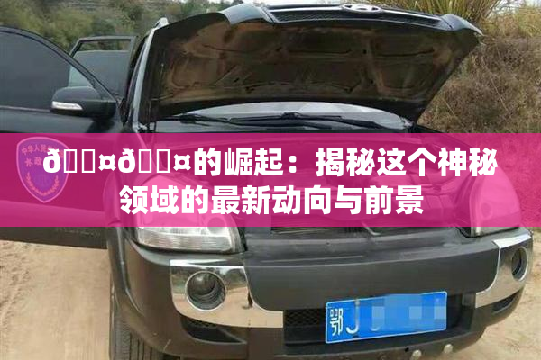 🐤🐤的崛起：揭秘这个神秘领域的最新动向与前景