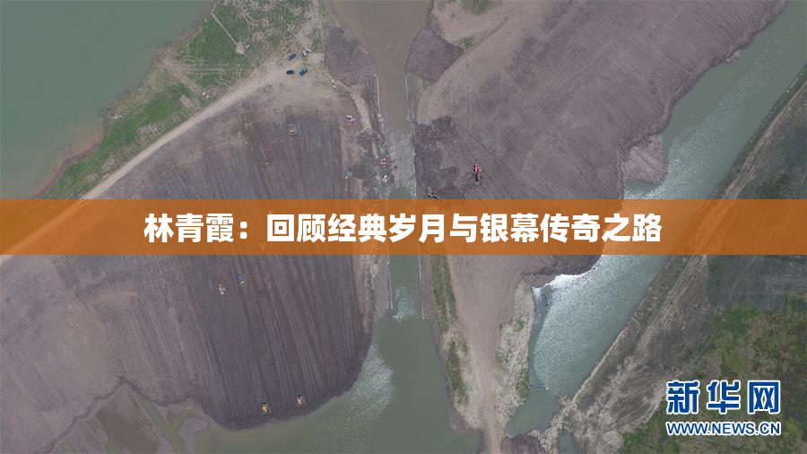 林青霞：回顾经典岁月与银幕传奇之路