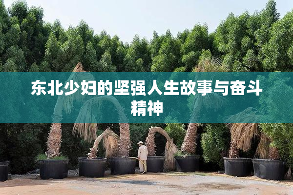东北少妇的坚强人生故事与奋斗精神