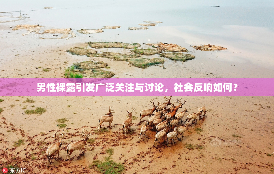 男性裸露引发广泛关注与讨论，社会反响如何？