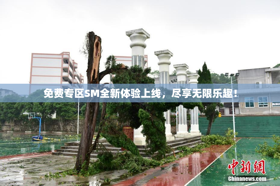 免费专区SM全新体验上线，尽享无限乐趣！