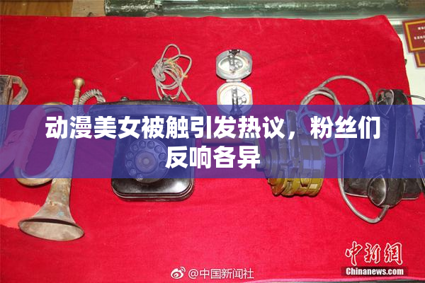 动漫美女被触引发热议，粉丝们反响各异