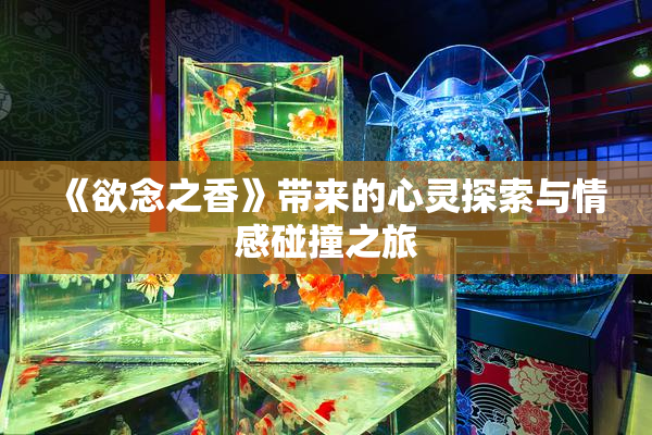 《欲念之香》带来的心灵探索与情感碰撞之旅
