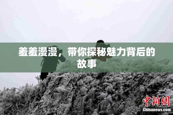 羞羞漫漫，带你探秘魅力背后的故事