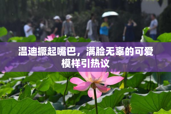 温迪撅起嘴巴，满脸无辜的可爱模样引热议