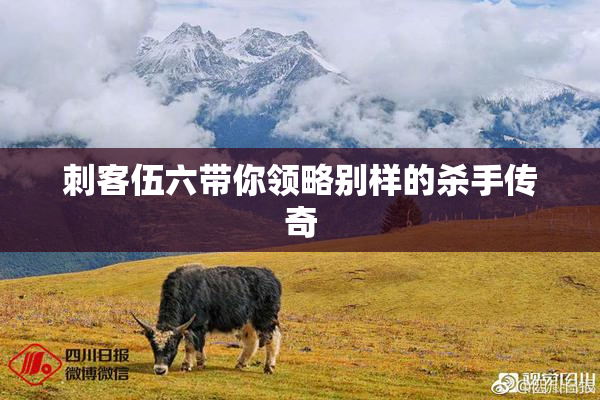 刺客伍六带你领略别样的杀手传奇