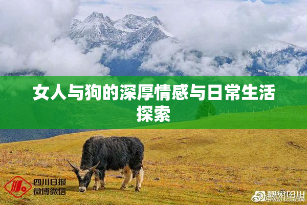 女人与狗的深厚情感与日常生活探索