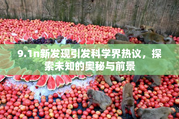 9.1n新发现引发科学界热议，探索未知的奥秘与前景