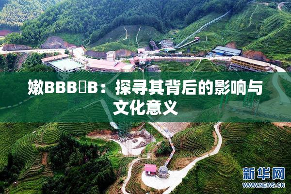 嫩BBB槡B：探寻其背后的影响与文化意义