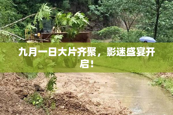 九月一日大片齐聚，影迷盛宴开启！