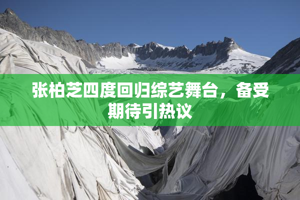 张柏芝四度回归综艺舞台，备受期待引热议