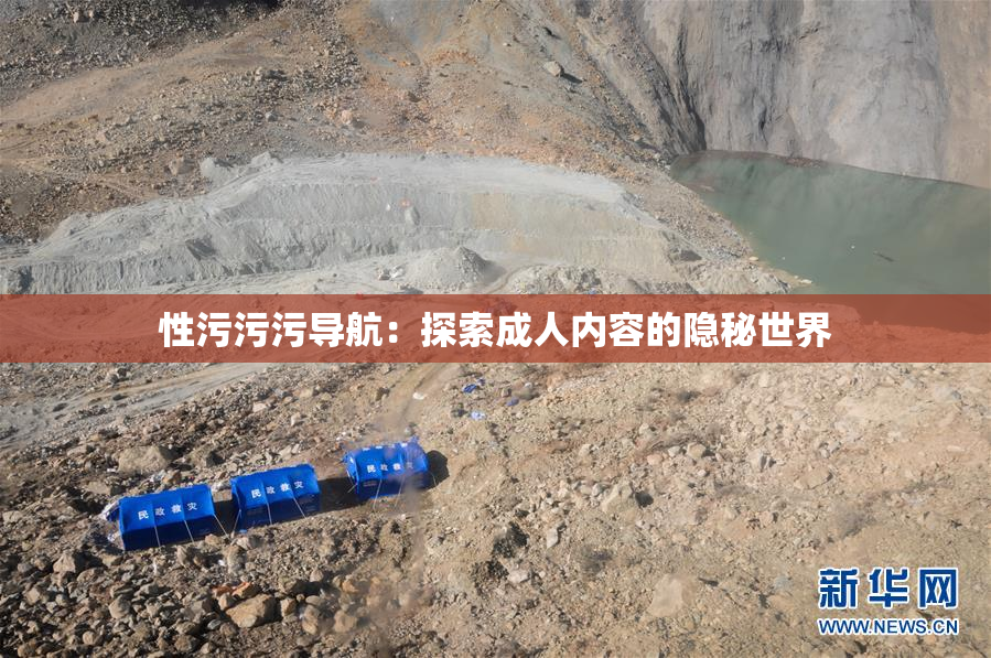 性污污污导航：探索成人内容的隐秘世界