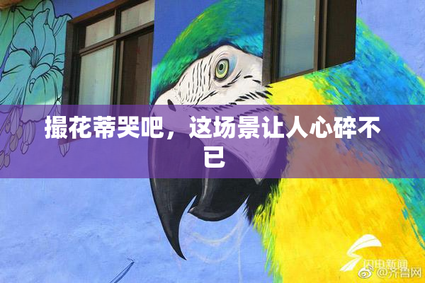 撮花蒂哭吧，这场景让人心碎不已