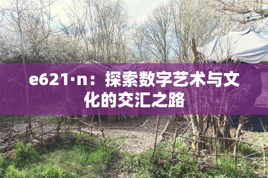 e621·n：探索数字艺术与文化的交汇之路