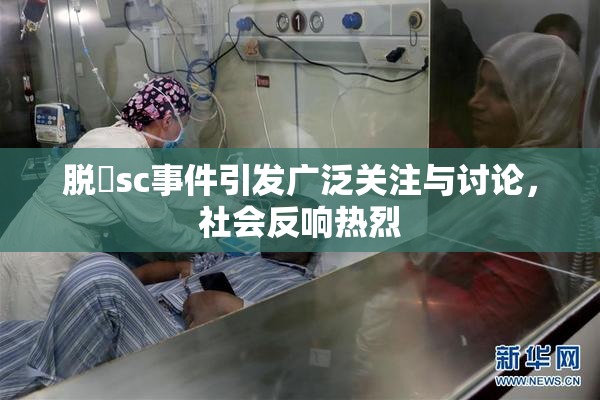 脱糞sc事件引发广泛关注与讨论，社会反响热烈