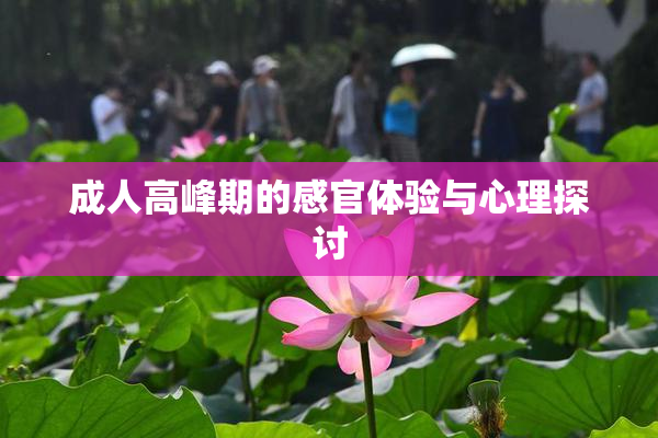 成人高峰期的感官体验与心理探讨