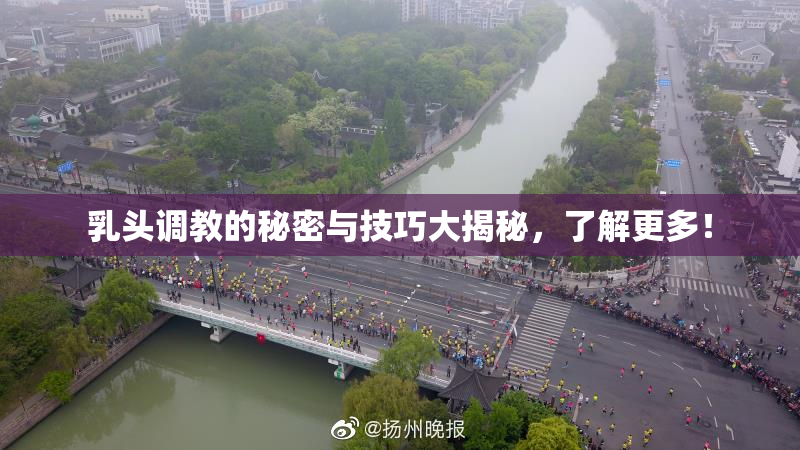 乳头调教的秘密与技巧大揭秘，了解更多！