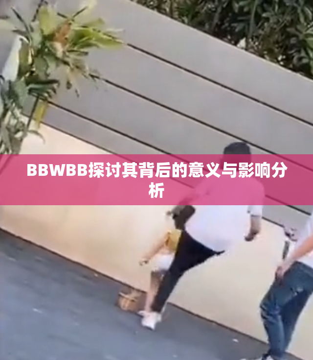 BBWBB探讨其背后的意义与影响分析