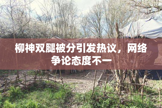 柳神双腿被分引发热议，网络争论态度不一