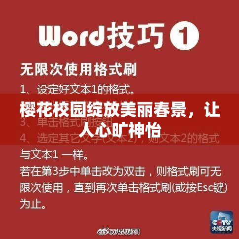 樱花校园绽放美丽春景，让人心旷神怡