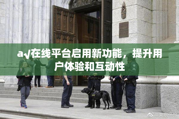 a√在线平台启用新功能，提升用户体验和互动性