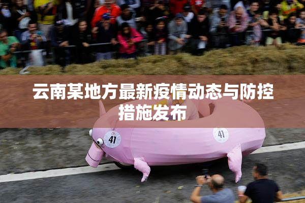 云南某地方最新疫情动态与防控措施发布