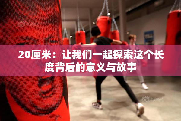 20厘米：让我们一起探索这个长度背后的意义与故事