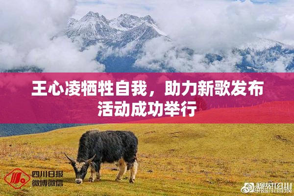 王心凌牺牲自我，助力新歌发布活动成功举行