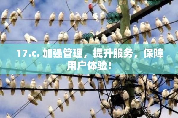17.c. 加强管理，提升服务，保障用户体验！