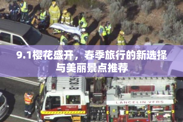 9.1樱花盛开，春季旅行的新选择与美丽景点推荐