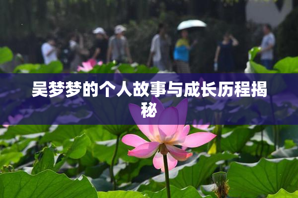 吴梦梦的个人故事与成长历程揭秘