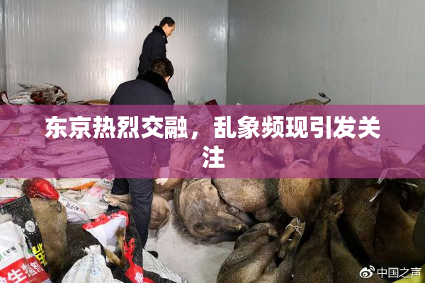 东京热烈交融，乱象频现引发关注