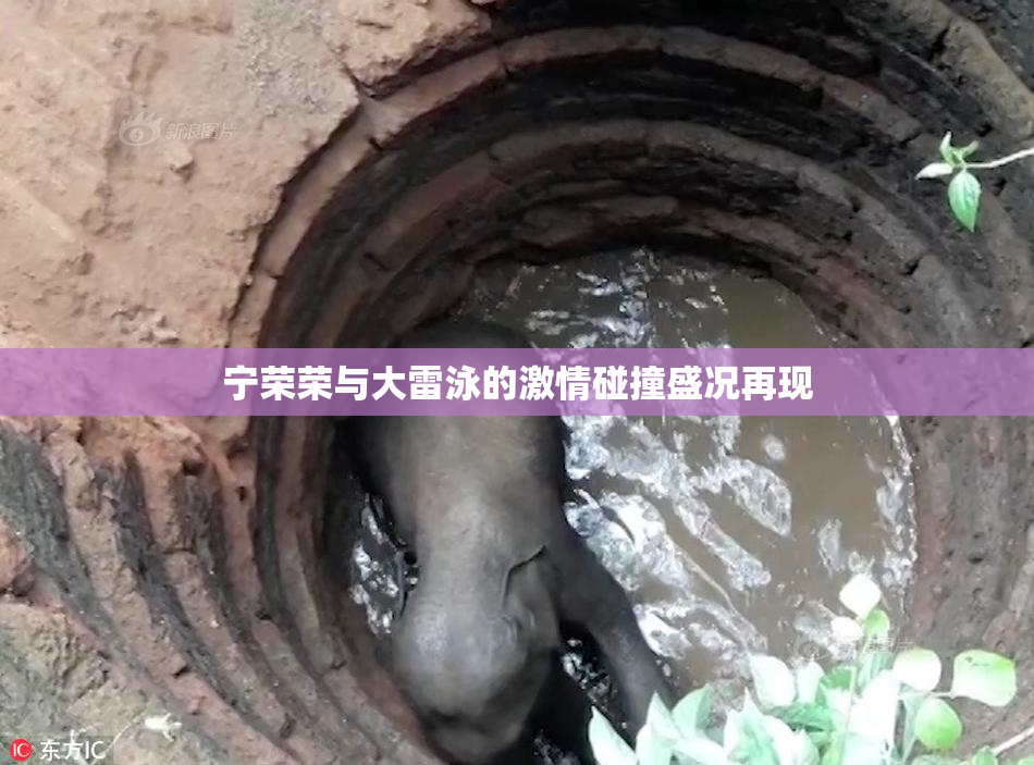 宁荣荣与大雷泳的激情碰撞盛况再现