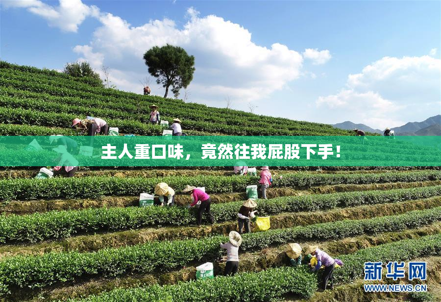 主人重口味，竟然往我屁股下手！