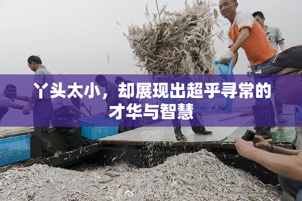 丫头太小，却展现出超乎寻常的才华与智慧