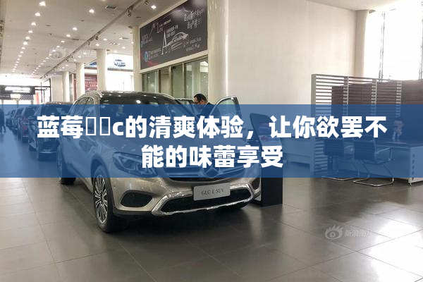 蓝莓❌‌c的清爽体验，让你欲罢不能的味蕾享受