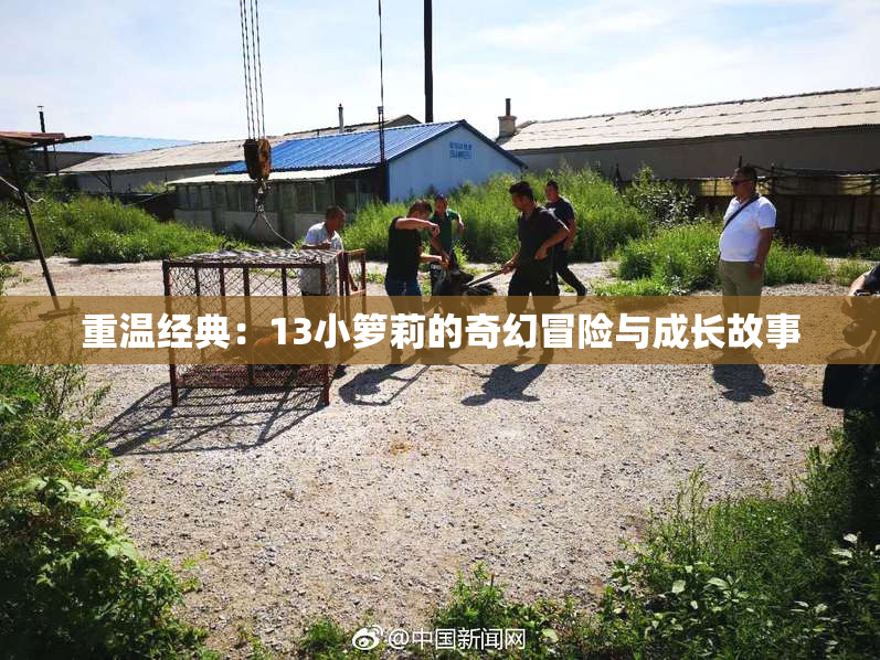 重温经典：13小箩莉的奇幻冒险与成长故事