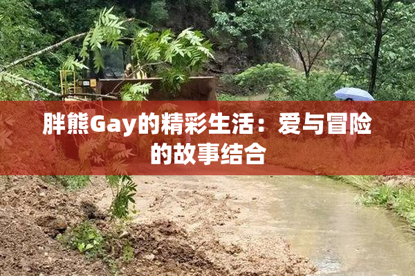 胖熊Gay的精彩生活：爱与冒险的故事结合
