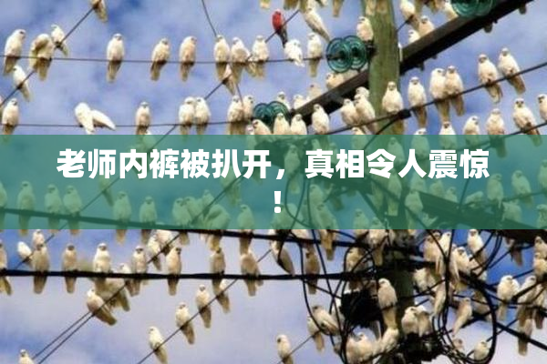 老师内裤被扒开，真相令人震惊！