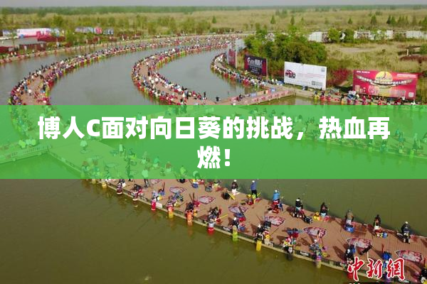 博人C面对向日葵的挑战，热血再燃！
