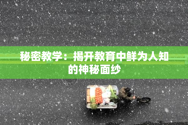 秘密教学：揭开教育中鲜为人知的神秘面纱