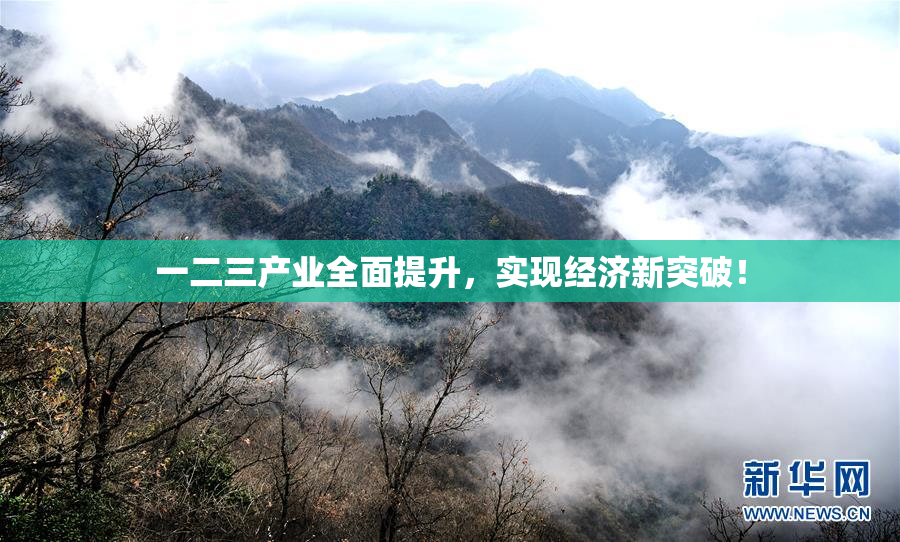 一二三产业全面提升，实现经济新突破！